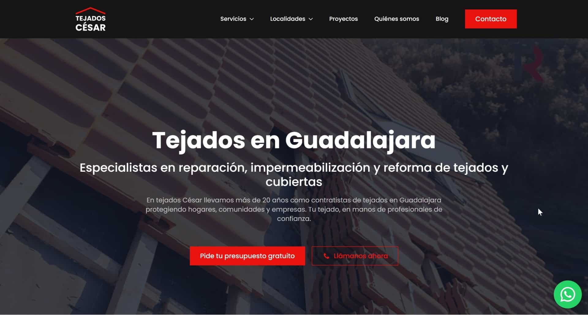 SEO para Tejados César SEO para Tejados César